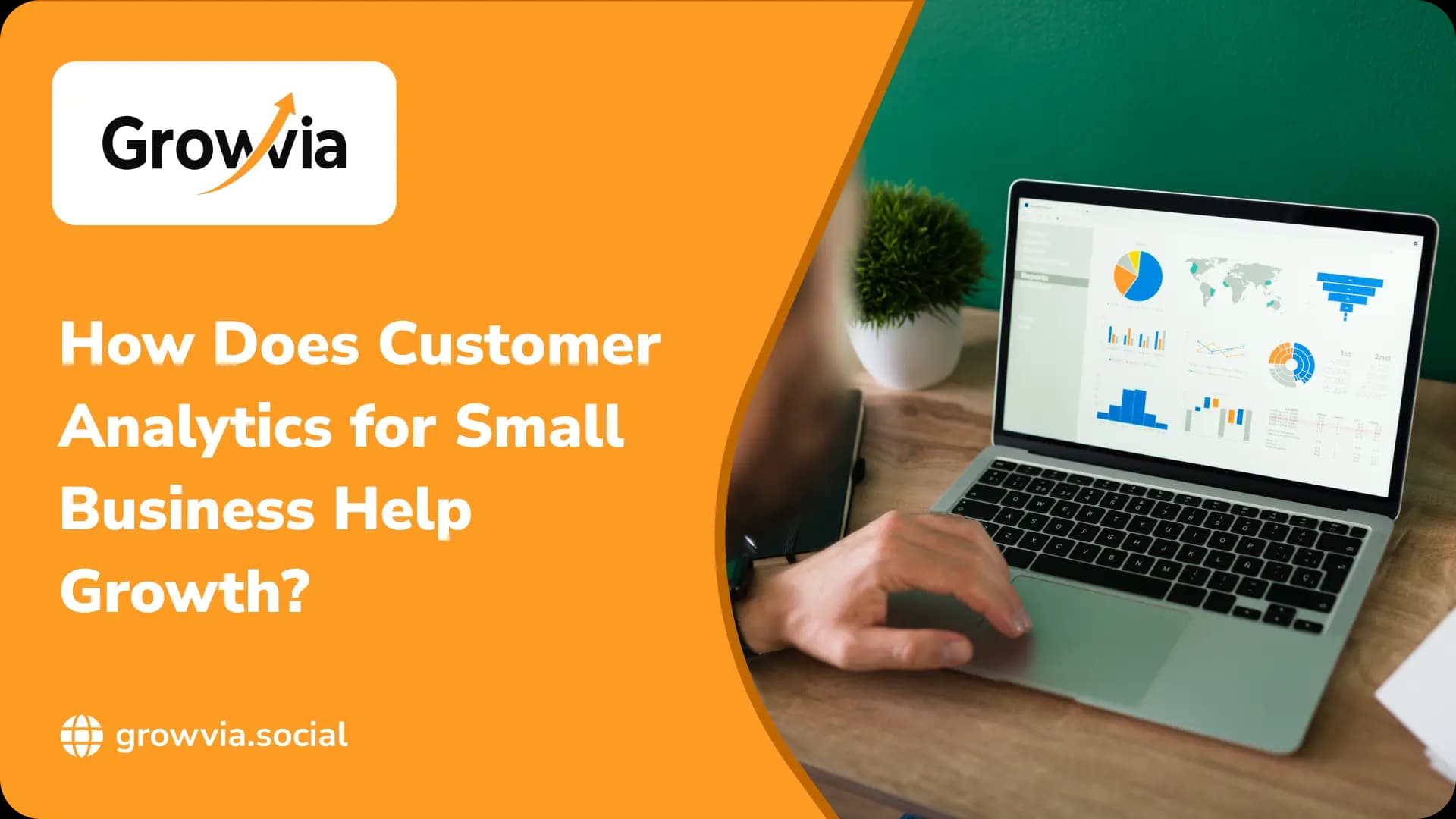 How Does Customer Analytics for Small Business Help Growth?